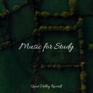 Music for Study - Sonido de lluvia