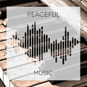 # 1 Album: Peaceful Music - Zumoberry