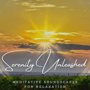 Serenity Unleashed: Meditative Soundscapes for Relaxation - Afternoon Chill Out Playlist