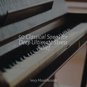 50 Classical Songs for Deep Ultimate Stress Relief - Ivory Mood