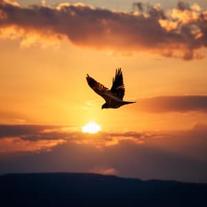 Armonía Interior: Momentos De Música Relajante - Guerrero binaural