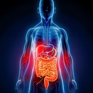 Yoga for Gut Health: Yoga for Digestion, Bloating, Constipation, Gas - Namaste Healing Yoga