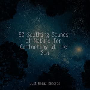 50 Soothing Sounds of Nature for Comforting at the Spa - Relaxed Minds