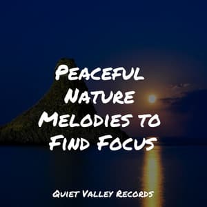 Peaceful Nature Melodies to Find Focus - Nature Sounds Collection