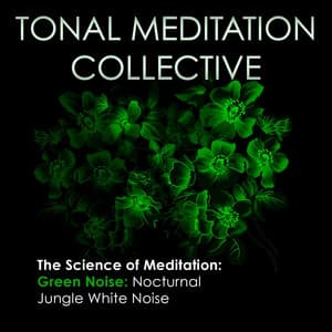 Green Noise: Nocturnal Jungle White Noise - Tonal Meditation Collective