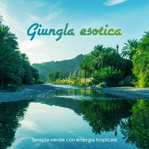 Giungla esotica: Terapia verde con energia tropicale - Musica tranquilla accademia