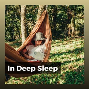 In Deep Sleep - Ruhige Musik