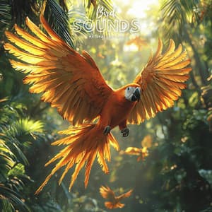 Bird Sounds Natural Sleep Aid - Nature Recordings