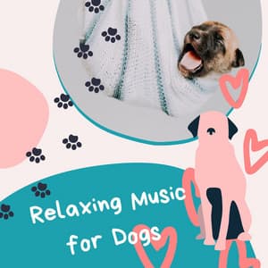Relaxing Music for Dogs: Relax and Calm Down your Dog with the Best Calming New Age Music for Reducing Stress - Nature Sounds & Backgrounds