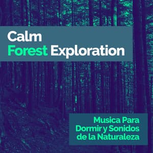 Calm Forest Exploration - Musica Para Dormir y Sonidos de la Naturaleza