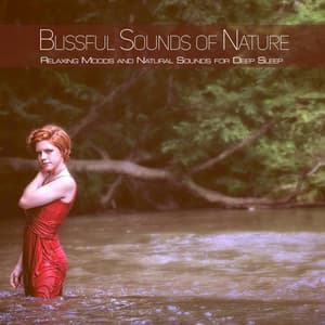 Blissful Sounds of Nature: Relaxing Moods and Natural Sounds for Deep Sleep - Einstein Nature Sounds Academy