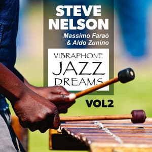 Vibraphone Jazz Dreams, Vol.2 - Steve Nelson