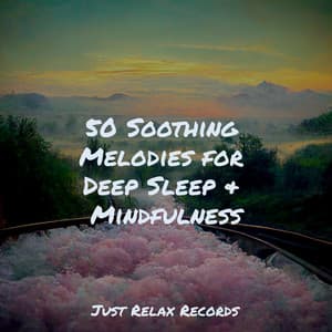 50 Soothing Melodies for Deep Sleep & Mindfulness - Rest & Relax Nature Sounds Artists