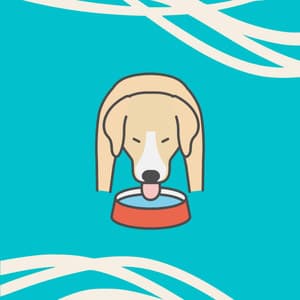 Echoes of Puppy Memory - Dog Anxiety Music