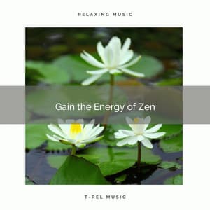 ! ! ! ! ! Gain the Energy of Zen - Sounds of Nature White Noise for Mindfulness Meditation and Relaxation
