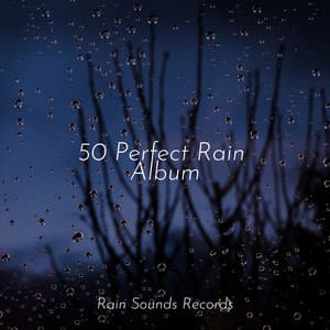 50 Perfect Rain Album - Lucid Dreaming Music