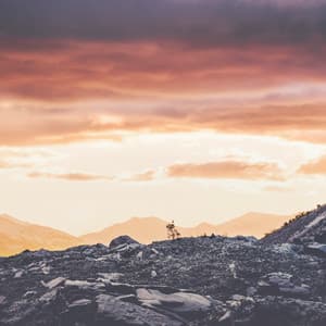 Healing Music - Uyku Müzik