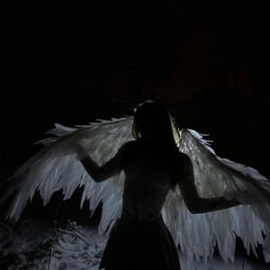 Anna Van Dekker - Iron Reich