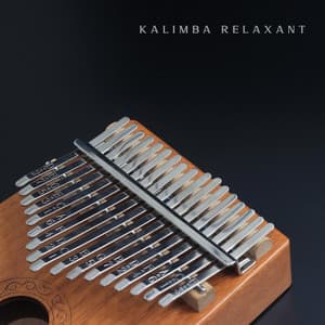 Kalimba relaxant: Musique pour la méditation et le yoga avec des sons de la nature - Musique Zen!