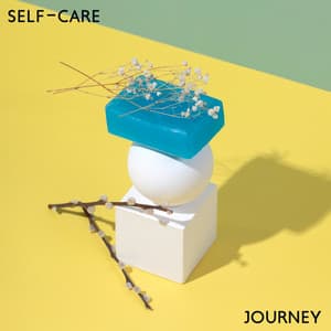Self-Care Journey - Relaxing Night Music Academy