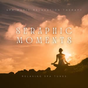 Seraphic Moments: Relaxing Spa Tunes - Spa Music Relaxation Therapy