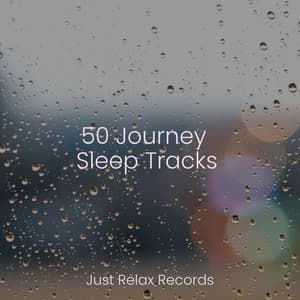 50 Journey Sleep Tracks - New Age