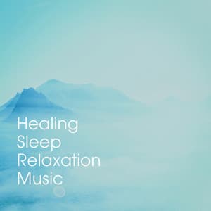 Healing Sleep Relaxation Music - Relaxation And Meditation