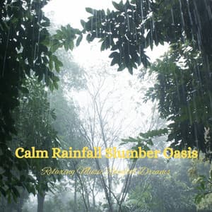 Calm Rainfall Slumber Oasis: Relaxing Music Rainfall Dreams - Sleep Rain Sounds