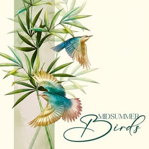 Midsummer Birds: Forest Birds Chirping Ambience, Relaxing Sounds of Morning Birds, Calm Birdsongs - Calm Singing Birds Zone