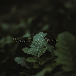 Wave Theory Diaries - Oceara