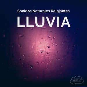 Sonidos Naturales Relajantes: Lluvia - Lluvia para Dormir