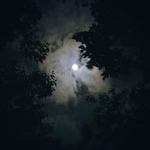 Quiet Night Beats: Hip Hop for Relaxation - Chillout Lounge Relax