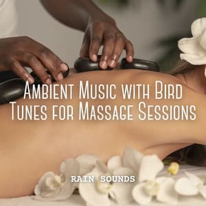 Rain Sounds: Ambient Music with Bird Tunes for Massage Sessions - Rain Fruits