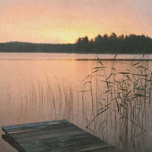 Whispers of Classical Peace - Johann Sebastian Bach