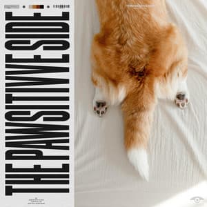 The Pawsitive Side - Calming for Dogs