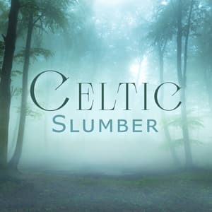 Celtic Slumber - Tom Barkes