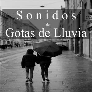 Sonidos de Gotas de Lluvia - Sonidos Relajantes de la Naturaleza by Beneluxa