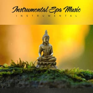 Instrumental Spa Music - Instrumental