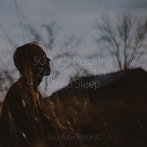 50 Total Relaxing Zen Sounds for Deep Sleep - Kinderliederbande