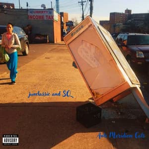 Ante Meridiem Cats - Junclassic