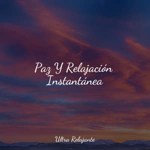 Paz Y Relajación Instantánea - Música Relajante para Perros