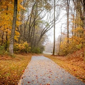 0 Hour Formations: Manifesting Futures - Relaxing Music Therapy