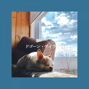 ドゴーン・デイライト - Coffee Shop Lounge