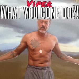 What You Gone Do?! - Viper