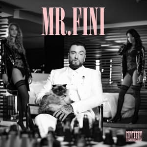 Mr. Fini - Guè