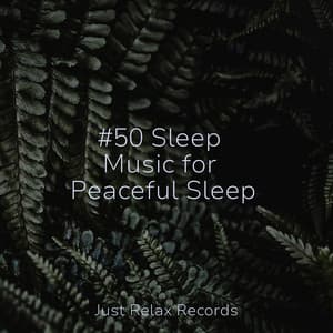 #50 Sleep Music for Peaceful Sleep - Meditación