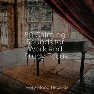 50 Calming Sounds for Work and Study Focus - Ivory Mood