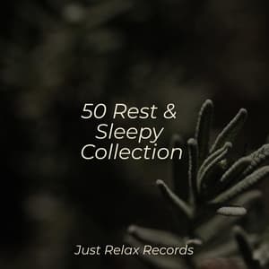 50 Rest & Sleepy Collection - Soothing Sounds