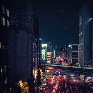 Tranquil Vinyl Sunset - Lo Fi Hip Hop