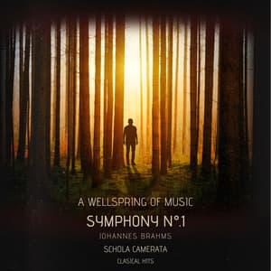 A Wellspring Of Music - Symphony No. 1 - Classical Hits